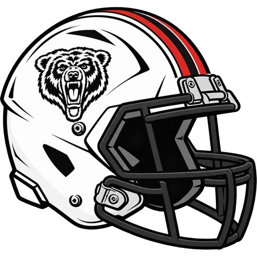 Bergenfield Bears helmet