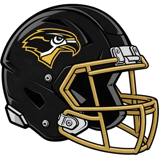 Burlington Twp. Falcons helmet