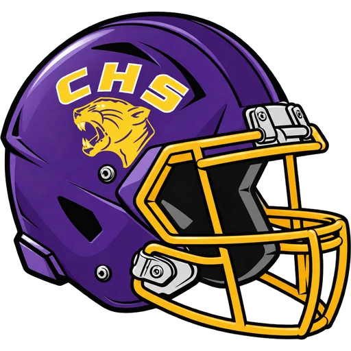 Camden Panthers helmet