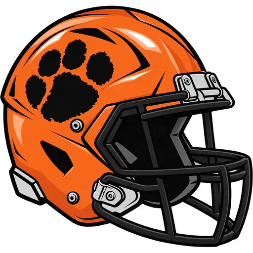 Camden Eastside Tigers helmet