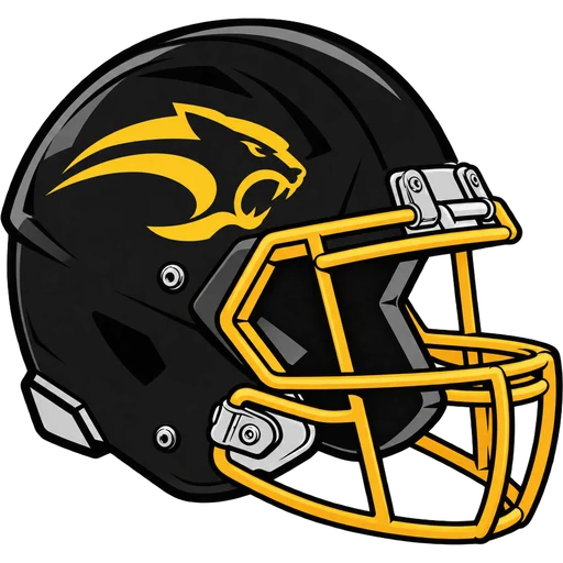 Cedar Grove Panthers helmet