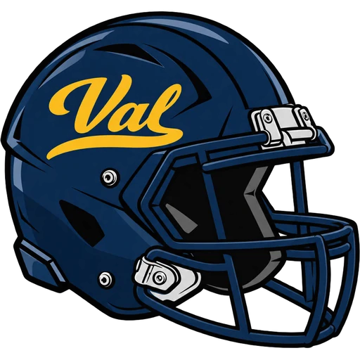 Delaware Valley Terriers helmet