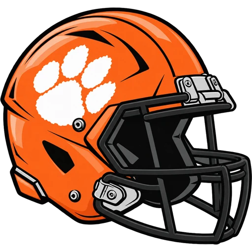 Dover Tigers helmet