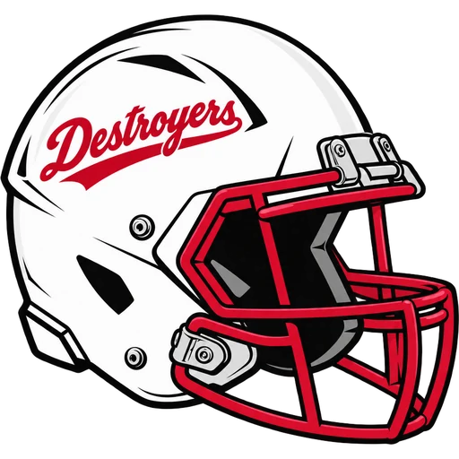 Dunellen Destroyers helmet