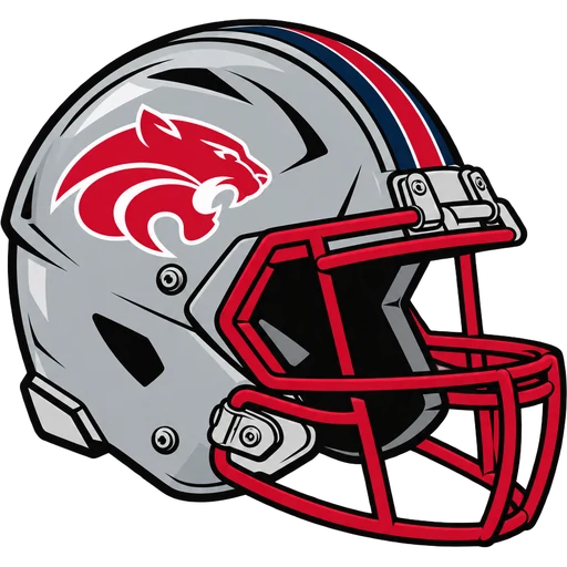 High Point Wildcats helmet