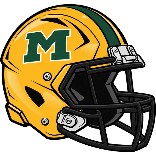 Montgomery Cougars helmet