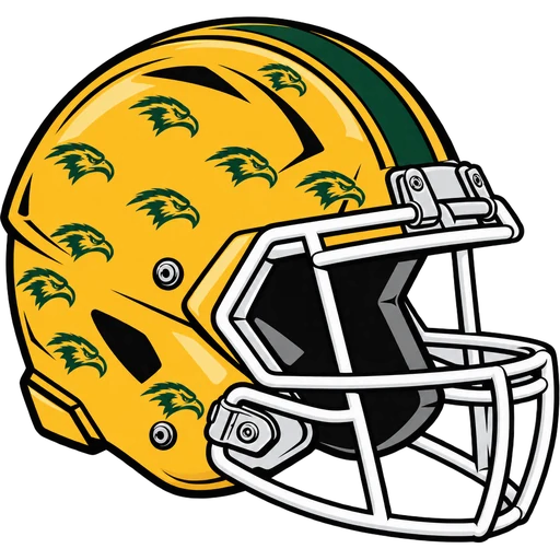 Morris Knolls Golden Eagles helmet