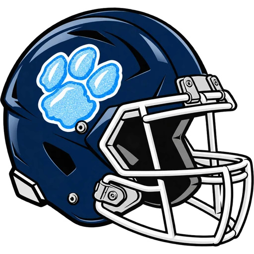 Newark Collegiate Panthers helmet