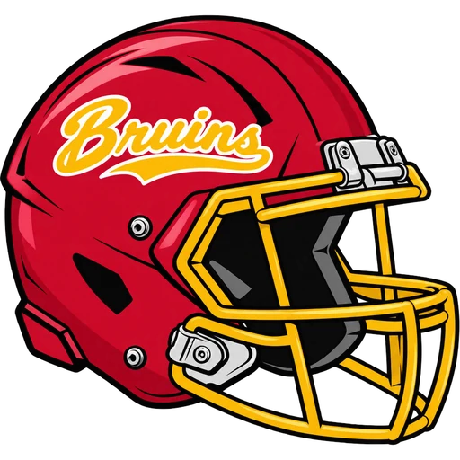 North Bergen Bruins helmet