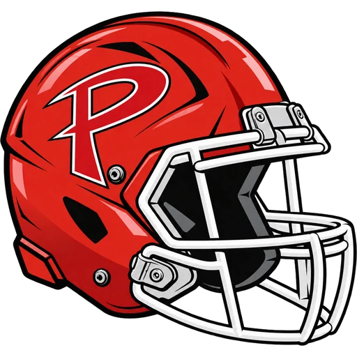 Palmyra Panthers helmet
