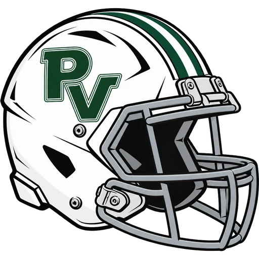Passaic Valley Hornets helmet