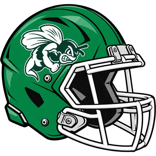 Pemberton Hornets helmet