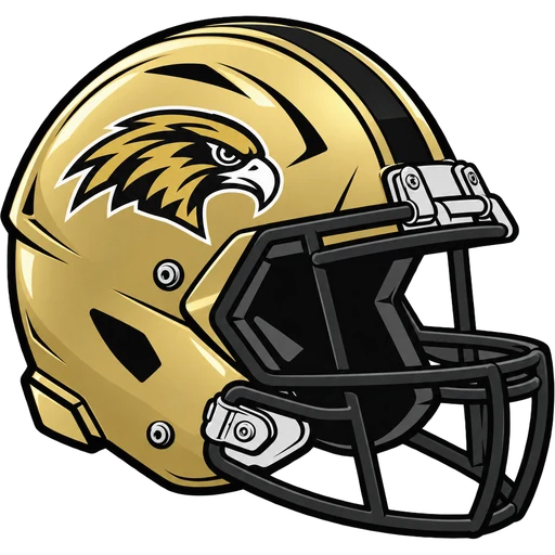 River Dell Golden Hawks helmet