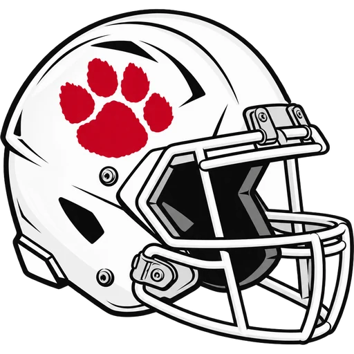 Roselle Park Panthers helmet