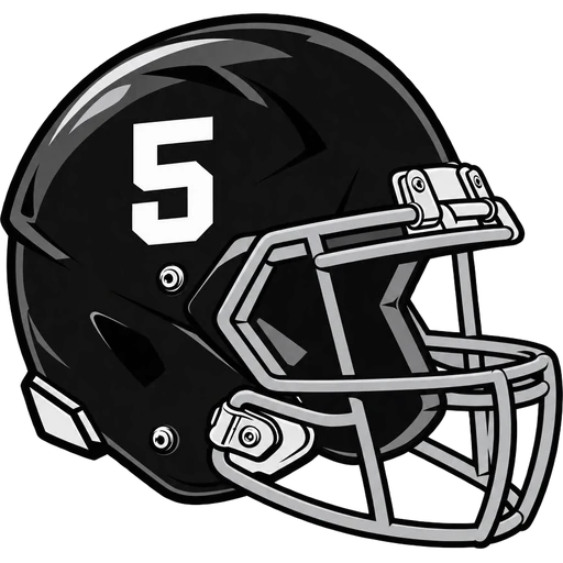 Toms River East Raiders helmet