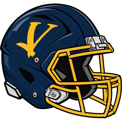 Vernon Vikings helmet