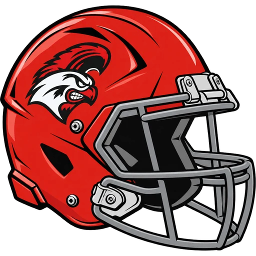 Vineland Fighting Clan helmet