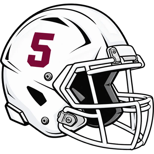 Whippany Park Wildcats helmet